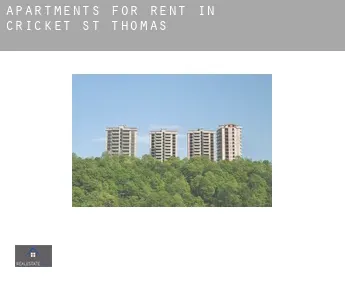 Apartments for rent in  Cricket St Thomas