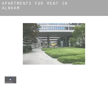 Apartments for rent in  Alnham