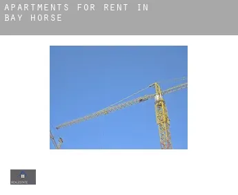 Apartments for rent in  Bay Horse