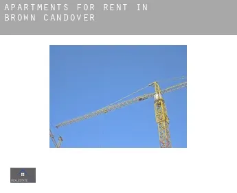Apartments for rent in  Brown Candover