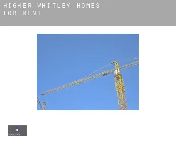 Higher Whitley  homes for rent