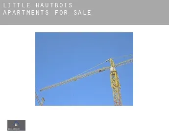 Little Hautbois  apartments for sale