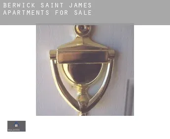 Berwick Saint James  apartments for sale