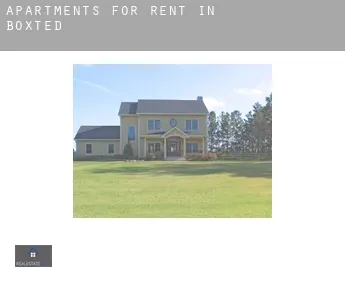 Apartments for rent in  Boxted