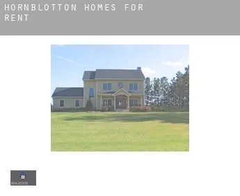Hornblotton  homes for rent