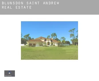 Blunsdon Saint Andrew  real estate