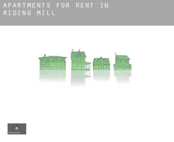 Apartments for rent in  Riding Mill