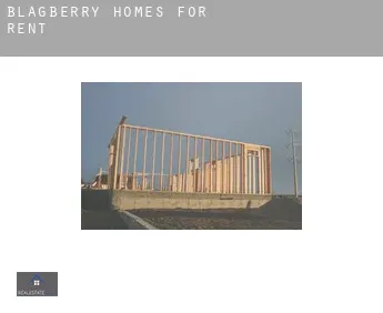 Blagberry  homes for rent