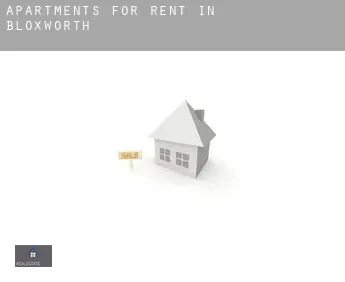 Apartments for rent in  Bloxworth