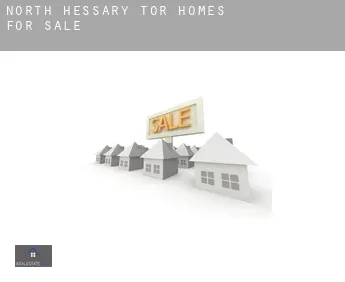 North Hessary Tor  homes for sale