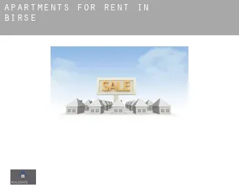 Apartments for rent in  Birse