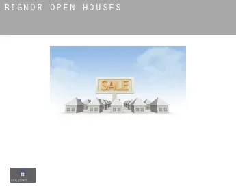 Bignor  open houses