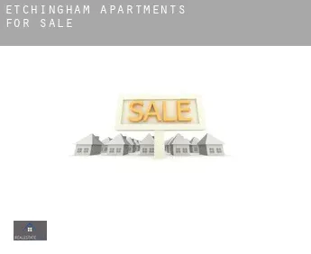 Etchingham apartments for sale