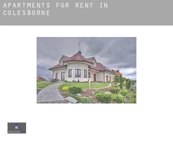 Apartments for rent in  Colesborne