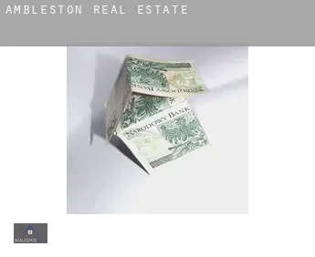 Ambleston  real estate
