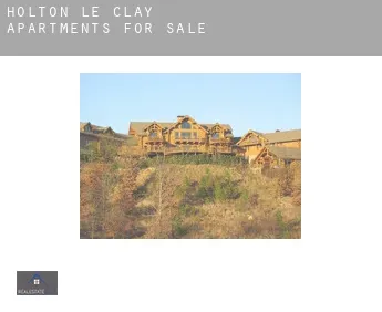 Holton le Clay  apartments for sale