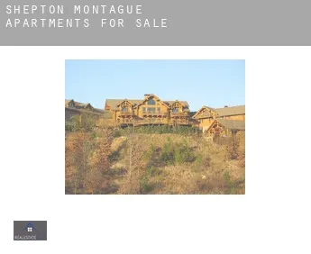 Shepton Montague  apartments for sale