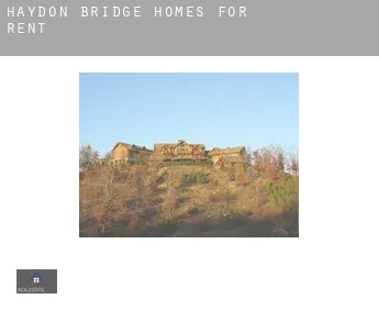 Haydon Bridge  homes for rent