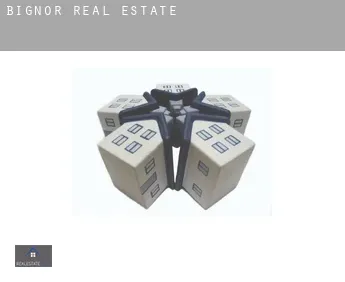 Bignor  real estate