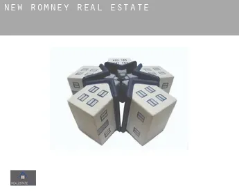 New Romney  real estate