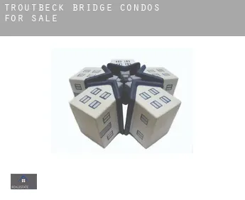 Troutbeck Bridge  condos for sale