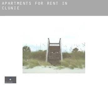 Apartments for rent in  Clunie