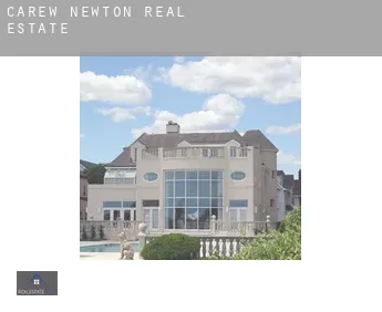 Carew Newton  real estate