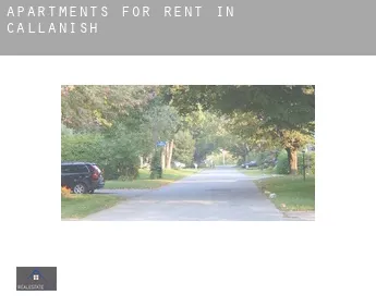 Apartments for rent in  Callanish