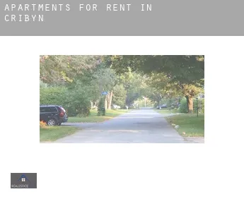 Apartments for rent in  Cribyn