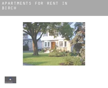 Apartments for rent in  Birch