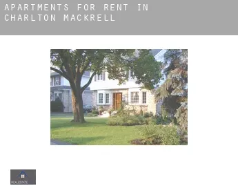 Apartments for rent in  Charlton Mackrell