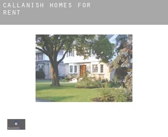Callanish  homes for rent