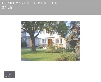 Llanfynydd  homes for sale