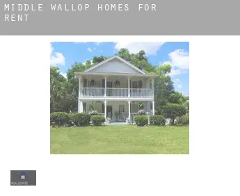 Middle Wallop  homes for rent