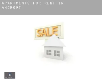 Apartments for rent in  Ancroft