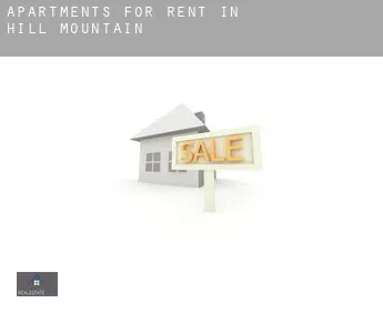 Apartments for rent in  Hill Mountain