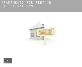 Apartments for rent in  Little Waltham