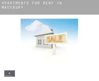 Apartments for rent in  Maesbury