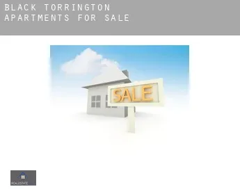 Black Torrington  apartments for sale