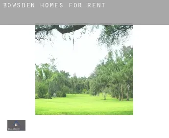 Bowsden  homes for rent