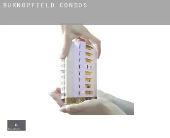 Burnopfield  condos