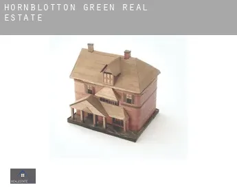 Hornblotton Green  real estate