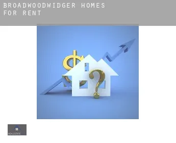 Broadwoodwidger  homes for rent