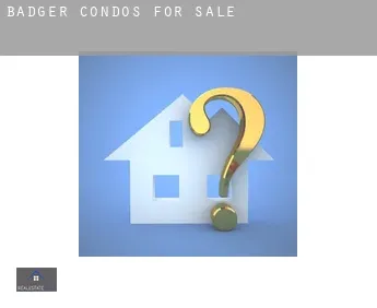 Badger  condos for sale