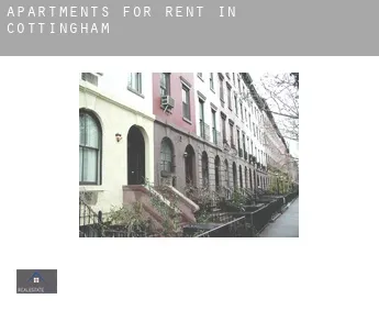 Apartments for rent in  Cottingham