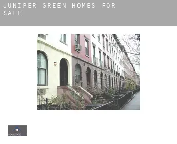 Juniper Green  homes for sale