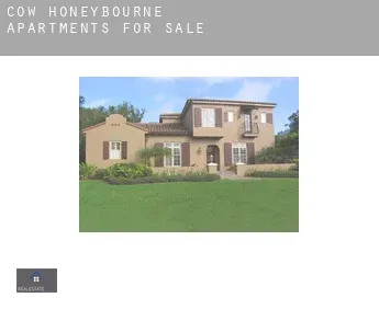 Cow Honeybourne  apartments for sale