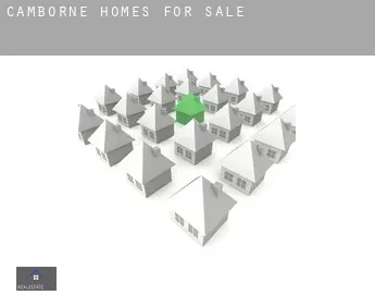 Camborne  homes for sale