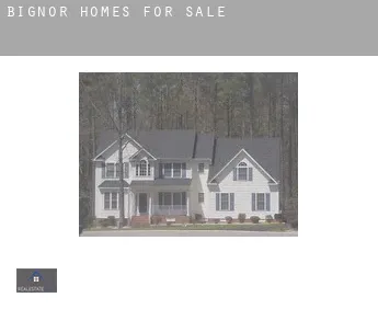 Bignor  homes for sale