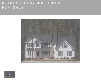 Botolph Claydon  homes for sale